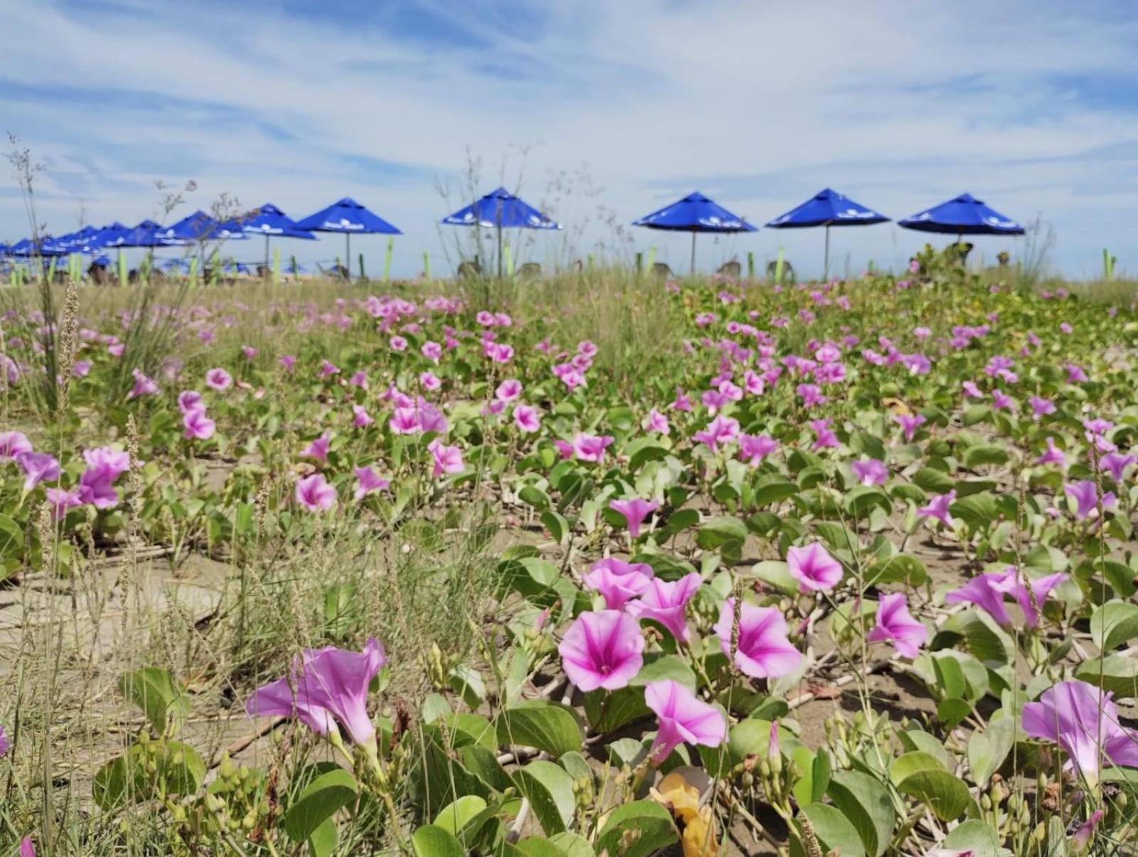 Habitación en casa particular Homethel *